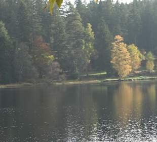 Windgfällweiher