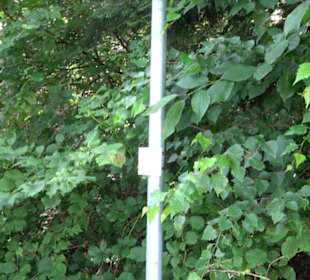 Premiumspazierweg Früchtetrauf-Leisawegle