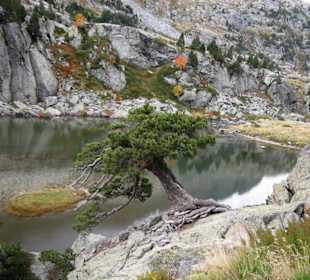 Abstieg zum Refugi Restanca