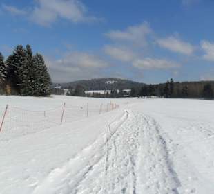 Wandern im Schnee auf dem Knüllfeld.