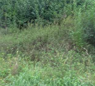 Fort Söflinger Turm