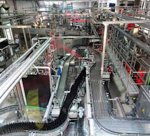 In der Flaschenabfüllung der Brauerei Stiegl