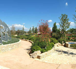 Mediterraner Garten mit Blick auf die Cafeteria