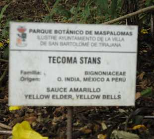 Parque Botánico de Maspalomas