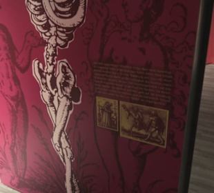 Fastnachtsmuseum Narrenschopf