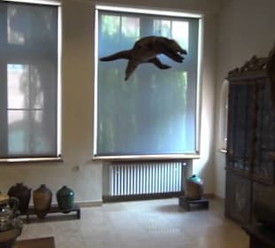 Germanisches Nationalmuseum