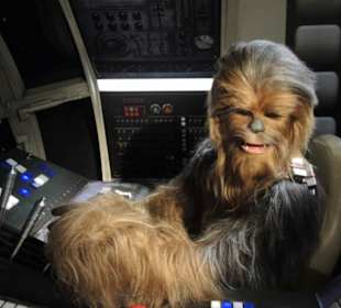 Madame Tussauds London Impression