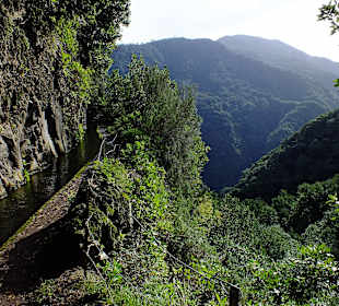 Manchmal läuft man auf dem Levadarand
