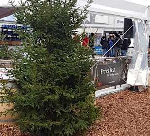 Die überdachte Eisbahn auf dem Marktplatz