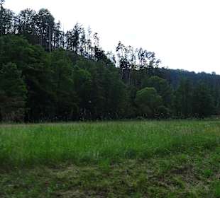 Kirnitzschtal