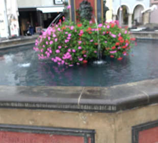 Fischkasten / Syrlinbrunnen