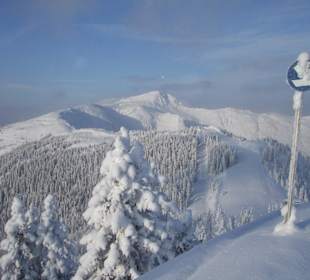 Blick auf den Maurerkogel vom Panorama Pfiff aus