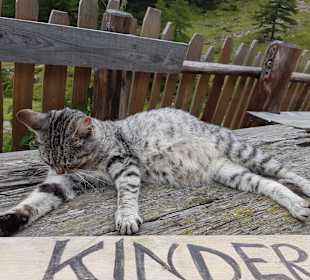 Wanderung Passeiertal
