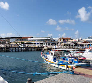 Ausflug zum Hafen in Pafos