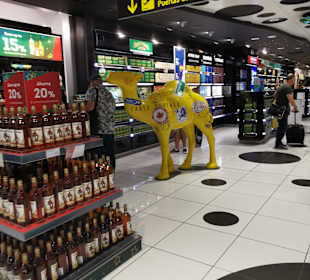 Flughafen Arrecife (ACE)