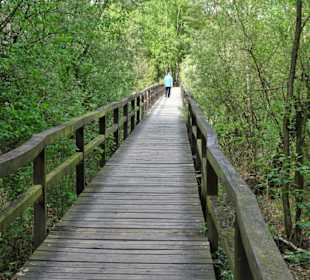 Impressionen vom Rundweg um die Talsperre