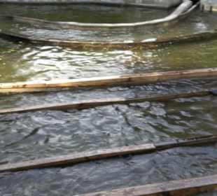 Erlebnispark Tripsdrill