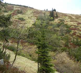 Karkonoski Park Narodowy
