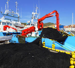Fischtrawler im Hafen von Port Vendres