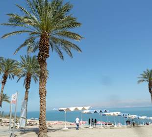 Ein Gedi 