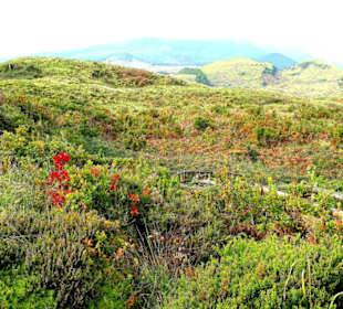 Inselrundfahrt Terceira