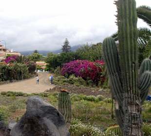 Im angrenzenden Park wurde gearbeitet