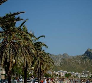 Palmenallee in Pollenca