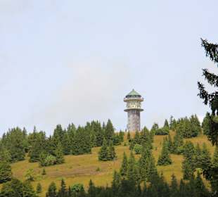 Wandern Feldberg
