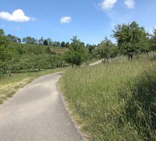 Früchtetrauf - Wurmlinger Kapellenwegle