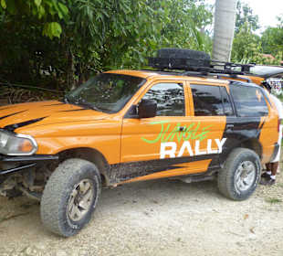Jungle Safari