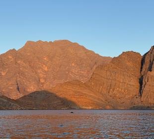 Delfine Musandam