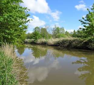 Eindrücke vom Rundgang im Seenpark