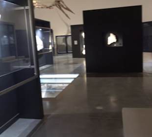 Dinosaurier Museum Altmühltal