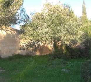 Santuario de Nostra Senyora de Bonany