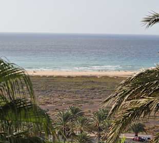 Stella Jandia September 2011