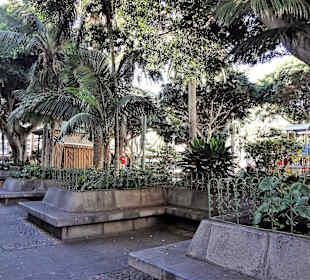 Altstadt - Plaza del Charco