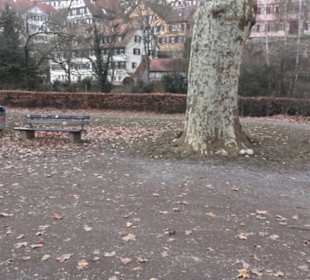 Altstadt 