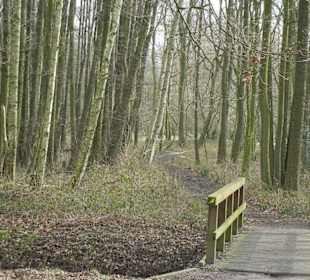 Naturschutzgebiet Boberger Niederung