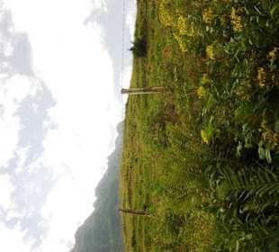 Landschaft zum Grünsee