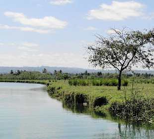 Kurz vor der Mündung