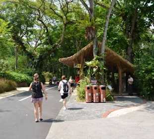 Singapur Zoo