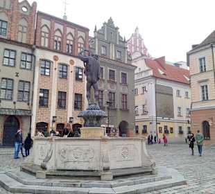 Stare Miasto w Poznaniu