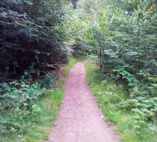 Wanderweg Eisenhüttenweg in Trippstadt