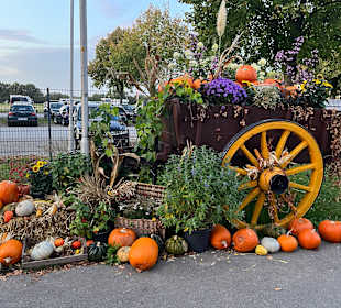 Herbstlichter Brückenkopfpark