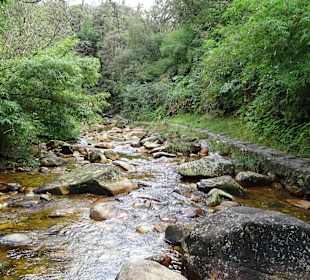Gleich ist man am Wasserfall