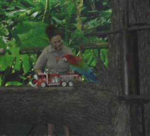 Papageienshow