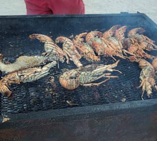 Gegrillte Langusten