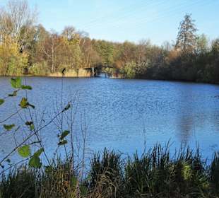 Eindrücke vom Rundweg durch den Volkspark Bokel