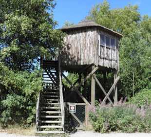 Lodge.