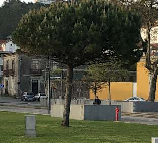 Altstadt Viano do Castello